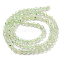 Natural Prehnite Beads Strands&nbsp;G-G161-A13-03