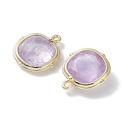 Natural Amethyst Pendants&nbsp;G-G012-09C-02