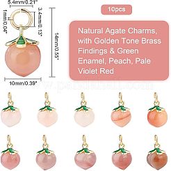 Natural Agate Charms&nbsp;G-PH0001-86