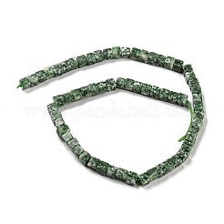 Natural Green Spot Jasper Beads Strands&nbsp;G-Q1008-B04