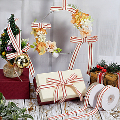 Cotton Ribbons&nbsp;OCOR-WH0008-076B