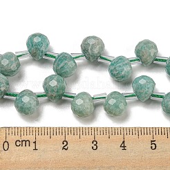 Natural Amazonite Beads Strands&nbsp;G-H297-B07-02