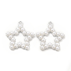 Alloy Pendants&nbsp;PALLOY-E014-01P