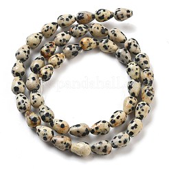 Natural Dalmatian Jasper Beads Strands&nbsp;G-B106-A29-01
