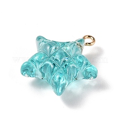 Transparent Resin Pendants&nbsp;RESI-Z016-02F-LG