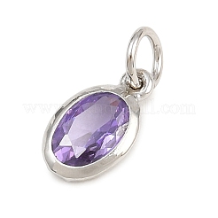 Brass Pave Cubic Zirconia Charms&nbsp;KK-CBA1E99-03P-D