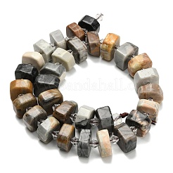 Natural Picasso Jasper Beads Strands&nbsp;G-L642-H06-01