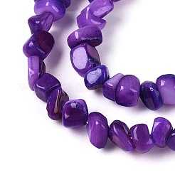 Natural Freshwater Shell Beads Strands&nbsp;SHEL-N037-04H