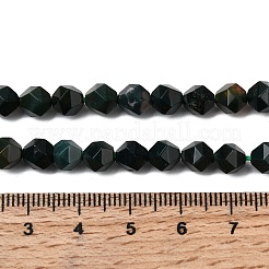 Natural Bloodstone/Heliotrope Beads Strands&nbsp;G-Z119-A16-01