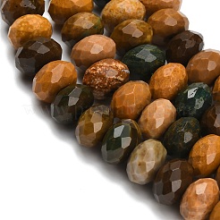Natural Ocean Jasper Beads Strands&nbsp;G-C259-A14-6x10mm