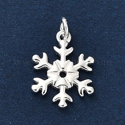 925 Sterling Silver Pendants&nbsp;FIND-Z069-04S-B