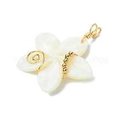 Natural Carved Freshwater Shell Pendants&nbsp;PALLOY-JF03390