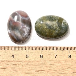 Natural Indian Agate Gemstone Cabochons&nbsp;X-G-T020-18x25mm-27