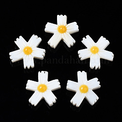 Natural Freshwater Shell Beads&nbsp;SHEL-N003-19