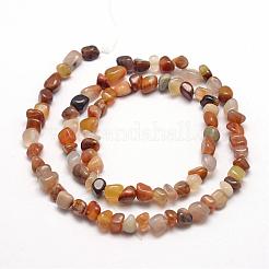 Natural Petrified Wood Beads Strands&nbsp;G-F465-20A