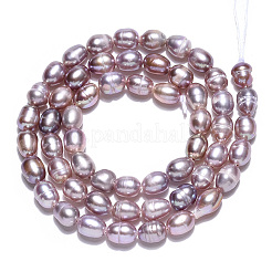 Natural Cultured Freshwater Pearl Beads Strands&nbsp;PEAR-N012-04O