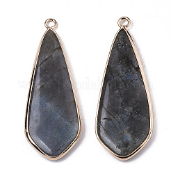 Natural Labradorite Pendants&nbsp;X-G-S359-108A
