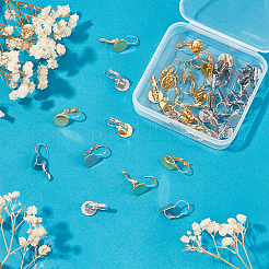 40Pcs 2 Colors 304 Stainless Steel Leverback Earring Findings&nbsp;STAS-DC0007-31