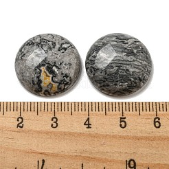 Natural Map Stone Cabochons&nbsp;G-C115-02A-20