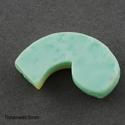 Resin Cabochons&nbsp;LS-CRES-S072-05