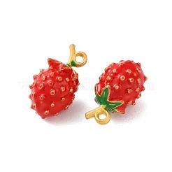 Alloy Enamel Pendants&nbsp;FIND-O003-12F-MG