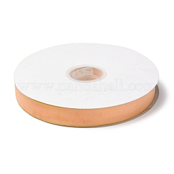 Organza Ribbons&nbsp;ORIB-G010-01M