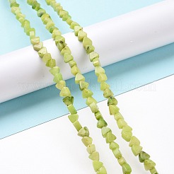 Natural Calcite Beads Strands&nbsp;G-G852-01F