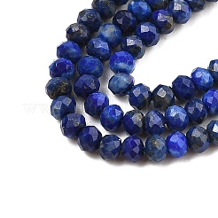 Dyed Natural Lapis Lazuli Beads Strands&nbsp;G-K376-B05-02