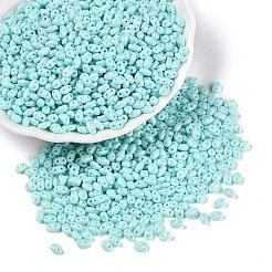 Baking Paint Glass Seed Beads&nbsp;SEED-T006-03G