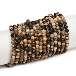 Natural Zebra Jasper Beads Strands&nbsp;G-F792-C13-07