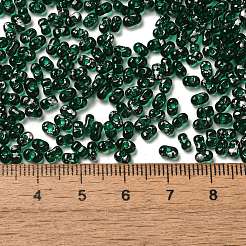 Spray Painted Glass Seed Beads&nbsp;SEED-F005-10A-01