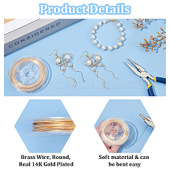 Brass Wire&nbsp;CWIR-WH0012-05G-02