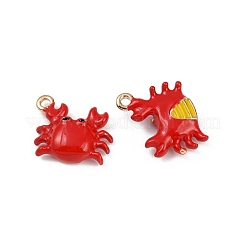Brass Alloy Charms&nbsp;KK-R226-15G-02