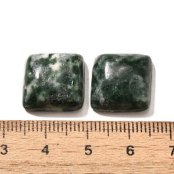 Natural Green Spot Jasper Cabochons&nbsp;G-I359-05