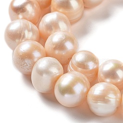 Natural Cultured Freshwater Pearl Beads Strands&nbsp;PEAR-E019-17