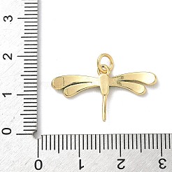 Insect Themes Brass Enamel Pendants&nbsp;KK-B155-01C-01G