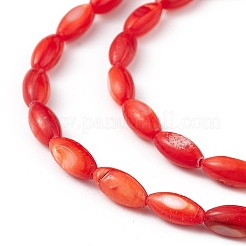 Natural Freshwater Shell Dyed Beads Strands&nbsp;SHEL-M018-13-05