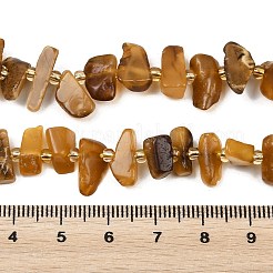 Natural Amber Beads Strands&nbsp;G-P619-A02-01
