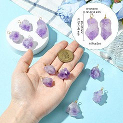 10Pcs Natural Amethyst Pendants&nbsp;PALLOY-CJ00158