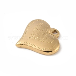 304 Stainless Steel Pendants&nbsp;STAS-P388-15G