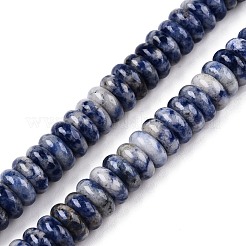 Natural Blue Spot Jasper Beads Strands&nbsp;G-T138-72