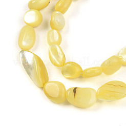 Natural White Shell Beads Strands&nbsp;SHEL-N036-21H
