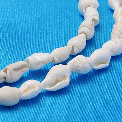 Natural Trumpet Shell Beads Strands&nbsp;S02KI011