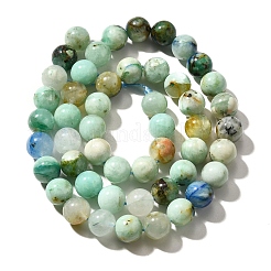 Natural Chrysocolla Beads Strands&nbsp;G-F784-A01-01