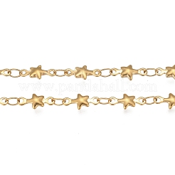 304 Stainless Steel Link Chains&nbsp;STAS-P219-74G