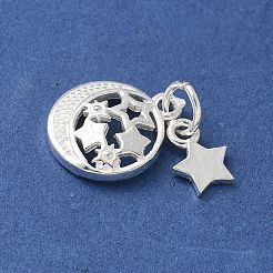 S925 Sterling Silver Pendant&nbsp;STER-H115-03D-S