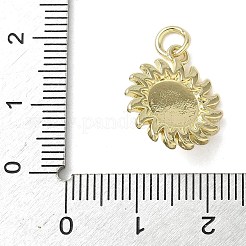 Brass Pendants&nbsp;KK-L248-14G