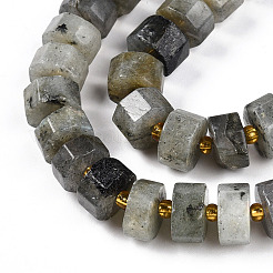 Natural Labradorite Beads Strands&nbsp;G-T140-34