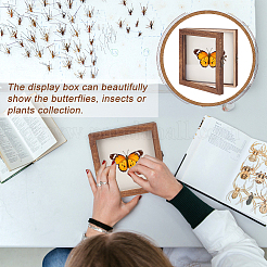 Wood Jewelry Presentation Boxes with White EVA Foam Mat Inside&nbsp;ODIS-WH0061-06C
