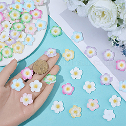 Plumeria Flower Opaque Resin Cabochons&nbsp;CRES-BM0001-01A